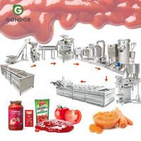Machine de production de sauce ketchup et de pâte de tomate moyenne, capacité de 5 tonnes par heure, pour usine de transformation continue de 1000 kg