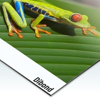 Panel Compuesto de Aluminio ACM Alucobond Blanco de 3mm 4mm con Impresión UV de Diseño Moderno, Ignífugo y Antiestático para Publicidad
