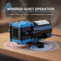 Pompe à eau à diaphragme électrique auto-amorçante automatique mini 50W 12V CC pour transfert d'eau en camping-car
