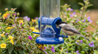Mangeoire décorative antique en métal pour oiseaux, écologique, avec tube à graines transparent, base large, ouvertures en forme de feuille, boucle de suspension, pour jardin extérieur