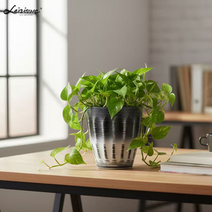 Leizisure Pots de plantes ronds rustiques uniques de haute qualité Petits jardinières en plastique pour plantes d'intérieur Macetas Decorativas Desktop - Product Image 3