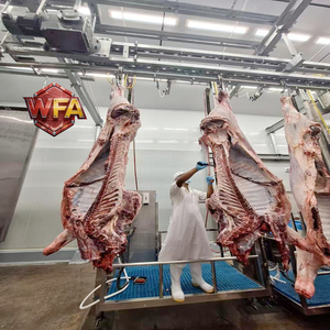 Équipement de ligne d'abattage de bétail efficace, machines de boucherie bovine, machine d'abattage, convoyeur de traitement de <span class=keywords><strong>viande</strong></span> de bœuf certifié HACCP - Product Image 1