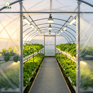 Invernadero Portátil Grande de Plástico Cubierto con Láminas, Diseño de <span class=keywords><strong>Túnel</strong></span> de un Solo Tramo para Agricultura y Jardinería - Product Image 4