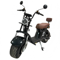 Vélo électrique Harley à moteur haute efficacité 1000W, frein à disque avant et arrière, pneu à vide, vélo électrique pour adultes