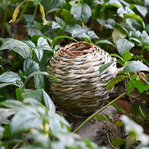 Nids d'oiseaux ronds en paille tressée faits à la main, petits, pour décoration de jardin créative, vente en gros, approvisionnement transfrontalier - Product Image 3