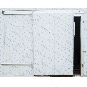 Free impact Cold Room Door 2024 High quality environmentally friendly With Stainless Steel for meat