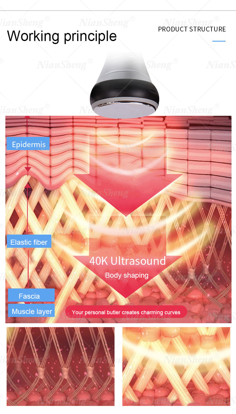 Niansheng New RF Vacuum Cavitation Lipo Laser 40K Slimming Fat Reduce System Machine For Home Use
