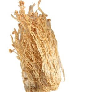 เห็ดเข็มทองธรรมชาติสำหรับอาหารสุขภาพเข็มทอง - Product Image 1