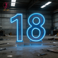 Lettres géantes lumineuses LED néon de 3 et 4 pieds pour boîtes de vote, idéales pour décorations d'anniversaire et d'événements de mariage.