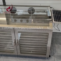 Zonne-energie fruitdroger commercieel huishoudelijk gebruik elektrische verwarming 10 trays groente fruit droogmachine