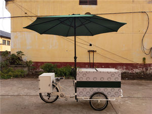 Mejor precio eléctrico Solar camiones de helados carrito de comida triciclo helado bicicleta móvil triciclo congelador bicicleta - Product Image 3