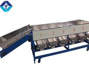 Machine de tri et de classement de fruits et légumes nouvelle condition - Product Image 3