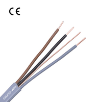 BS6004 Kupfer PVC-Isoliertes Graues Erdungskabel 1mm 1,5mm 2,5mm 4mm Doppel-Erdungskabel für Bau-Kabelkanäle