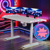Bureau de jeu de style moderne E-Sports RGB Lighting White Edition Table de jeu électrique en métal à hauteur réglable
