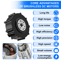 Moteur CC sans balais RB 80DD 48v 120w avec contrôleur de moteur CC sans balais 48v pour moteur de machine à coudre Bldc 12v