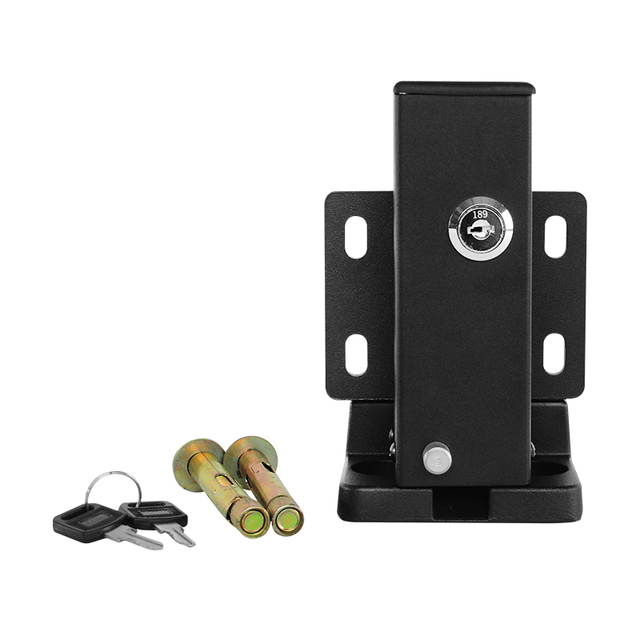 China Wholesale DC 24V Electric Automatic Lock Swing Gate Electric Lock for Swing Gate