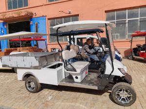 Shininglsv OEM 2 places Cargo Box Chariots de golf Boîte électrique Chariot de golf avec lit plat - Product Image 6