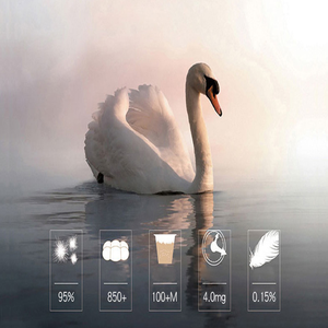 En gros Offre Spéciale <span class=keywords><strong>plume</strong></span> vers le bas <span class=keywords><strong>couette</strong></span> - Product Image 4