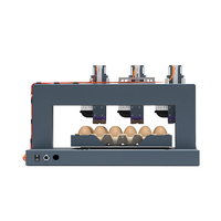Codificador de Huevos Digital Automático de Alta Resistencia, Impresora de Inyección de Tinta de 3 Cabezales, Máquina de Alta Productividad para Granjas Avícolas a Gran Escala