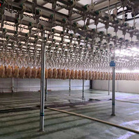Meilleure machine d'abattage de poulet Assurance qualité pour ligne d'abattage de volaille pour équipement d'abattage de lapin en abattoir