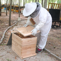 Nouvelle ruche Langstroth en cèdre de Chine enduit de cire Witbee, joint queue de pie, 10 cadres, épaisseur 20 mm, garantie 1 an, équipement d'apiculture