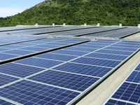 Machine d'extrusion de feuille arrière de cellule photovoltaïque solaire sans fluor PP/PE