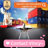 China Dubai Luft+Express Logistik Tür-zu-Tür DDP-Service mit Wettbewerbsfähigen Preisen, Versicherung & Zahlungsunterstützung