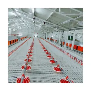 pan feeding system broiler flooring ground feeding Hot Sale Chicken Poultry Farm Equipment