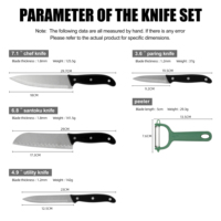 Ensemble de 5 couteaux de cuisine en acier inoxydable, directement de l'usine : Couteau de chef, Santoku, couteau utilitaire, couteau à éplucher, couteau à dépecer, idéal pour hacher, trancher et éplucher