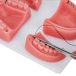 Ciencia Médica Quirúrgica, modelos de entrenamiento bucal Dental, almohadilla para la piel de los dientes dentales, almohadilla de sutura dental - Product Image 6