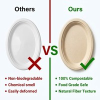 Assiettes ovales en bagasse de canne à sucre blanches, robustes, jetables, compostables et biodégradables pour fêtes, mariages, traiteurs et événements