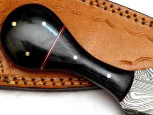 Beau Sizzco fait à la main en acier damas lame fixe chasse Camping Skinner Tanto couteau poignée taureau corne avec bois dur - Product Image 2