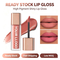 Produits très demandés en stock, gloss à lèvres vegan certifié halal, haute pigmentation, longue tenue, hydratant naturel, gloss à lèvres imperméable