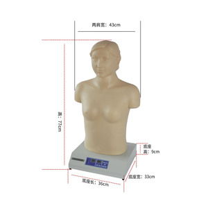 Simulateur informatique de palpation et d'auscultation cardio-pulmonaire, modèle d'auscultation cardio-pulmonaire féminin, formation clinique - Product Image 1
