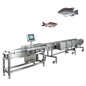 Automatische manuelle lebende gefrorene Fisch größe Gewichts sortierer Sortierer Sortiermaschine für Presevs