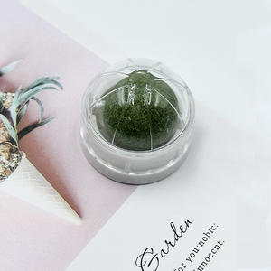 Giocattolo di erba gatta che gioca a palla di menta - Product Image 6