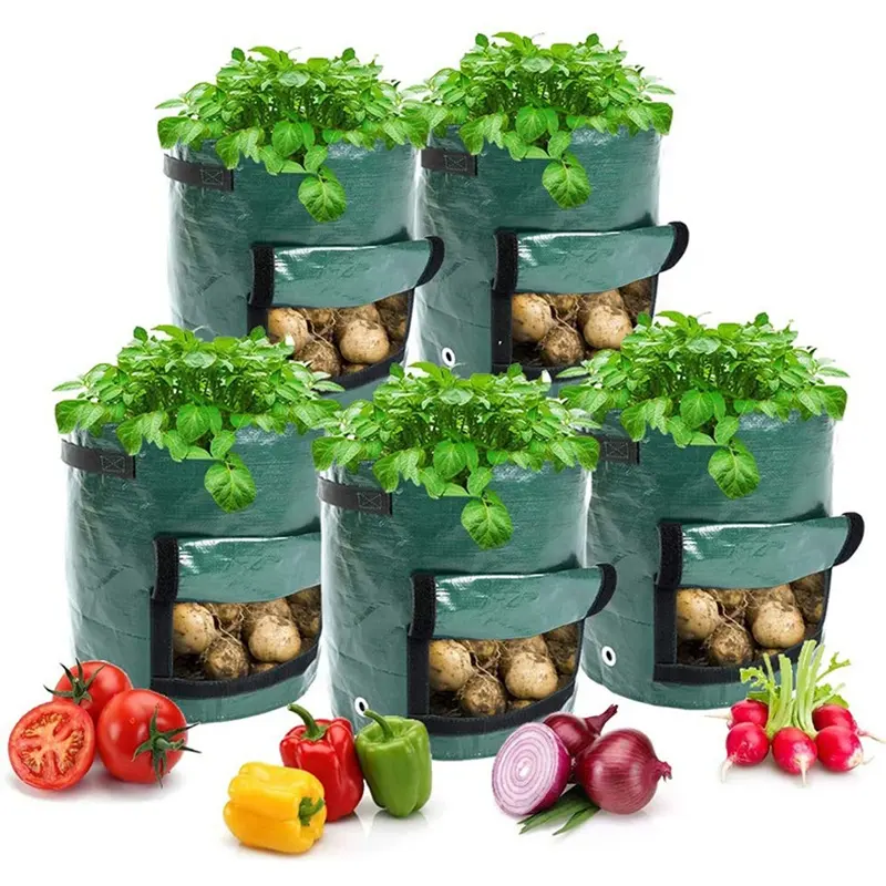 Polyethylene Fabric Raised Garden Bed Friendly Grow Bag Planter Pot For Outdoor Flowers Vegetable Plants Transplants Container