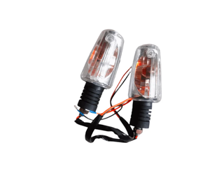 Accesorios para Motocicletas y Scooters, Luz Direccional, Indicador Big Boy para E-Storm Velocity 150 - Product Image 1