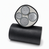 Câble de distribution électrique à âme en aluminium, isolation XLPE, pour pose en plateau et conduit intérieur, YJLV 3*240+1*120mm²