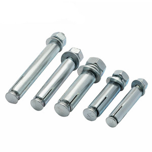 Wanqian Fasteners Expansion Screws M6 M8 M10 M12 Hex Head Zinc Plated Anchors - Product Image 1