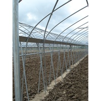 Serre agricole IGreen pour l'agriculture des tomates, serre intelligente agricole à Tunnel élevé