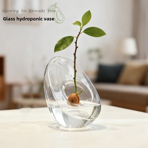 <span class=keywords><strong>Vase</strong></span> hydroponique moderne en verre en forme d'<span class=keywords><strong>avocat</strong></span> conteneur de plantation et de culture de graines <span class=keywords><strong>Vase</strong></span> spécial Pot jardinage - Product Image 5