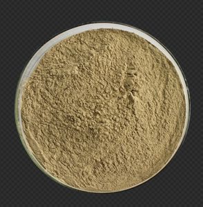 하이 퀄리티 그린 커피 콩 추출물 50% 클로로겐산 그린 커피 콩 분말 저렴한 가격 판매 - Product Image 2