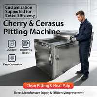 Automatische motorische fruitpitter en pitverwijderingsmachine 380V 288 stuks/min voor longan, abrikoos en kers
