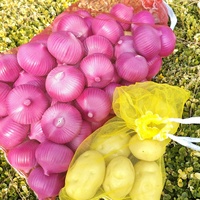 Sac en plastique réutilisable et respirant pour le stockage des fruits et légumes Mono Mesh Bag