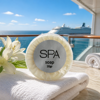 Savon liquide exfoliant jetable pour hôtel, blanchissant, en film transparent, pour bateaux de croisière et maisons d'hôtes