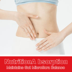 Gommes à mâcher à haute absorption avec vitamine C Les gommes prébiotiques probiotiques pour enfants et adultes améliorent naturellement l'humeur - Product Image 5