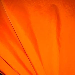 Lot de tissus en gros 480T 20D FD/SD/BR Nylon froissé pour vêtements de sport d'extérieur et pantalons de doudoune Polyamide - Product Image 3