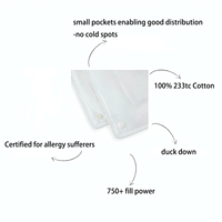 Couette en duvet de canard blanc 10,5 Tog en tissu de coton, toutes saisons, fabrication OEM, vente en gros, taille personnalisée