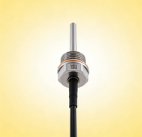 CWDZ03 Star Meter PT100 Temp Transmitter, Probe Baja Tahan Karat Industri, Tahan Air IP68 Akurasi Tinggi Layanan Kustom OEM ODM